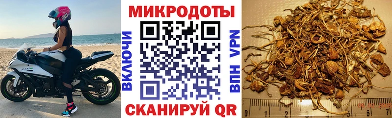 Галлюциногенные грибы Cubensis  Касимов 