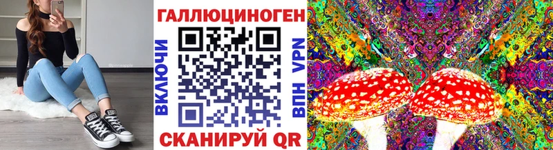 Псилоцибиновые грибы GOLDEN TEACHER Касимов