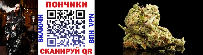 Бошки Шишки SATIVA & INDICA  наркошоп  Касимов 